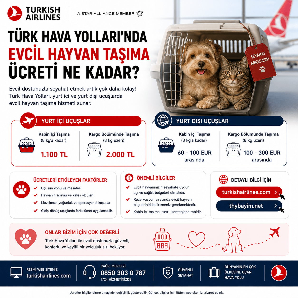 Evcil hayvan taşıma ücreti ne kadar?
